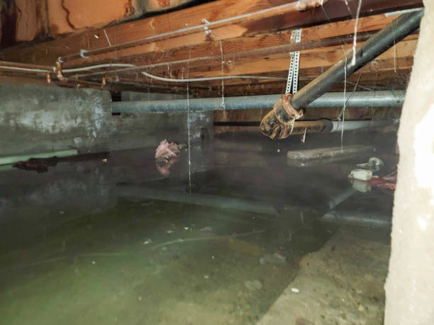 , MI Water damage restoration Company