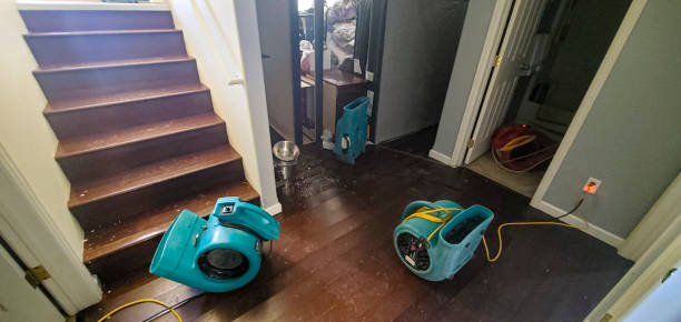 Best Sewage cleanup and water damage restoration  in Pinckney, MI