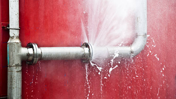 Best Water damage restoration mold remediation  in Pinckney, MI